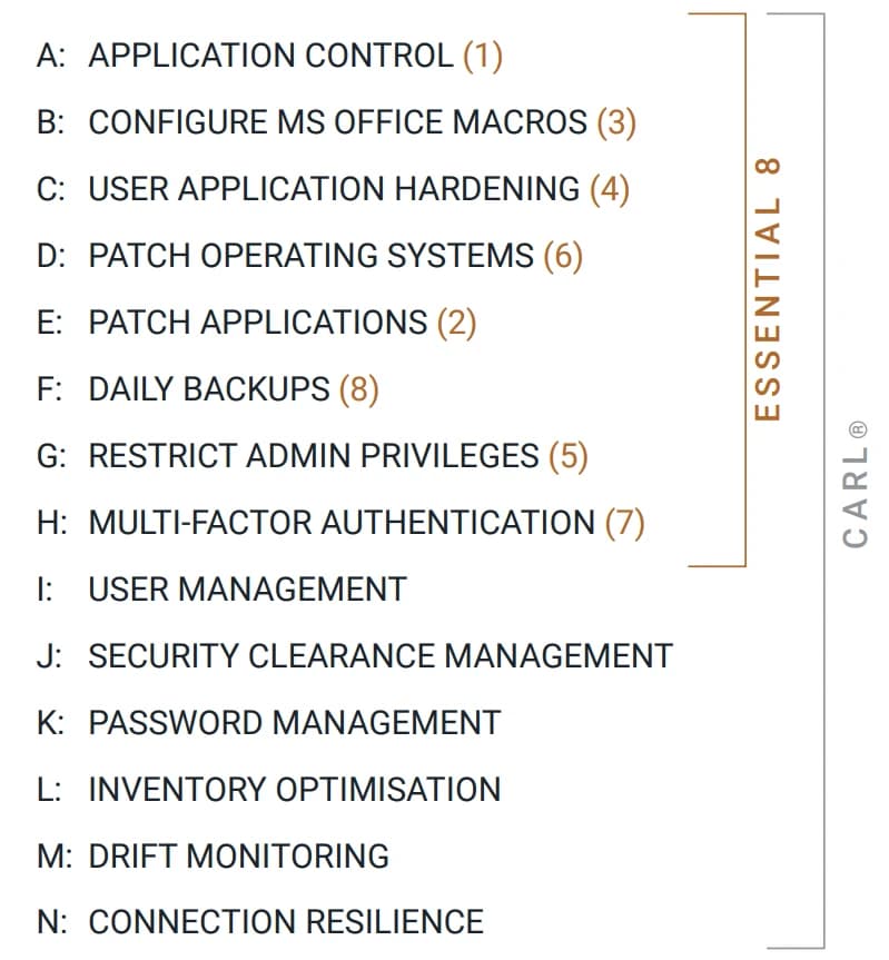 C.A.R.L.® Vital Metrics™ audit snapshot